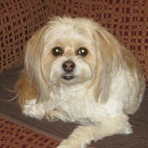 Meet your Posher, Lee